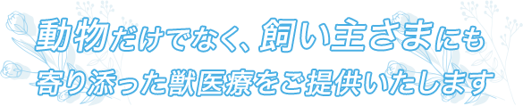 ちよだ動物病院