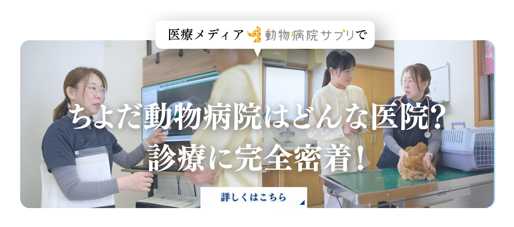 動物病院サプリ